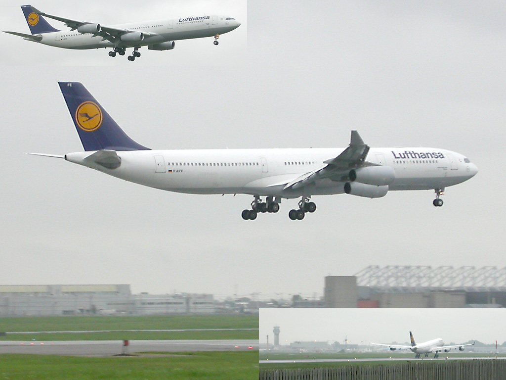Airbus A340-313X Lufthansa