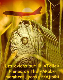Toile par Djipibi/ Web by Djipibi