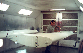 Nettoyage des ailes