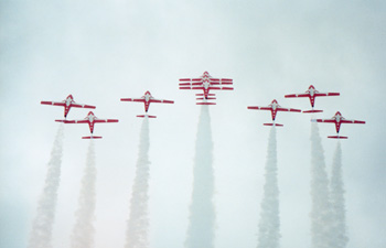 Snowbirds Mont-Laurier 20 mai 2001